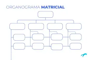 Organograma